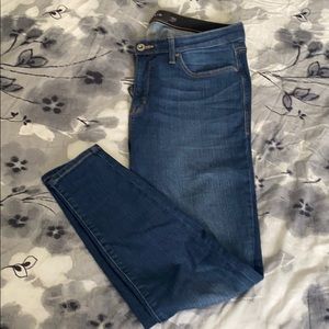 Torrid Sky High Skinny 14R Denim